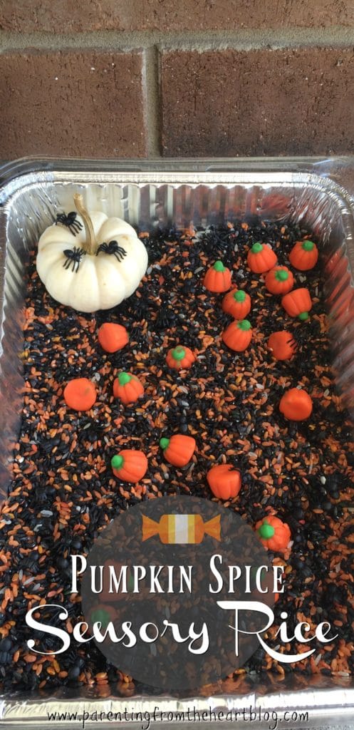 Make coloured pumpkin spice sensory rice and have a whole lot of fun. This is so easy to set up, is so much fun, and is loaded with the benefits of sensory play. Adapt this recipe for any season or time of year. Great for early childhood educators, parents looking for easy kids activities and more.