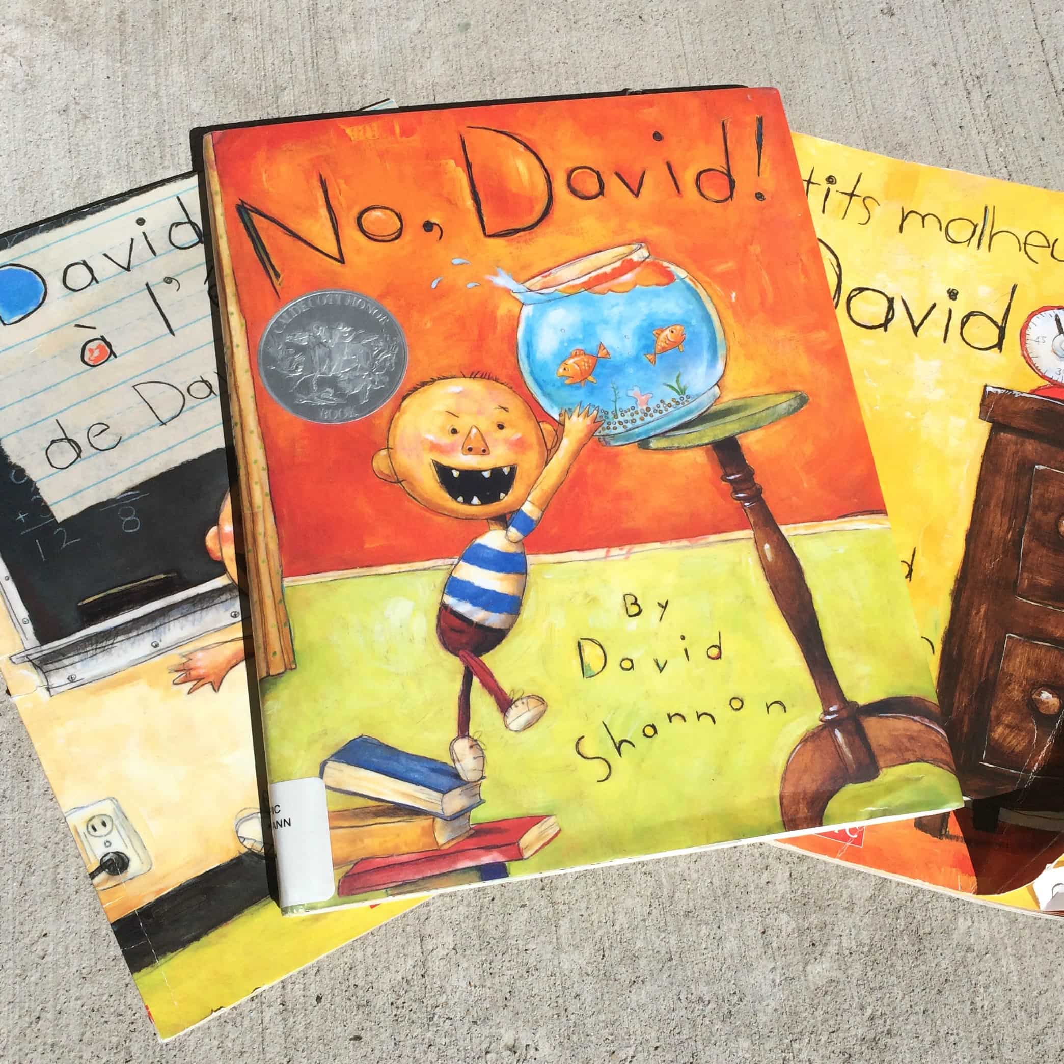 Best books for a spirited child No David by David Shannon
