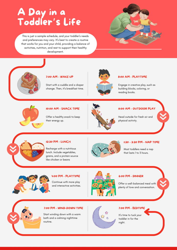 Infographic on a sample toddler schedule