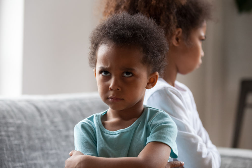 When children fight, we want it to stop. And for good reason, we want our kids to be safe and get along. This opportunity is a game changer. Instead of trying to stop sibling rivalry, it resolves it. Here you'll learn how.