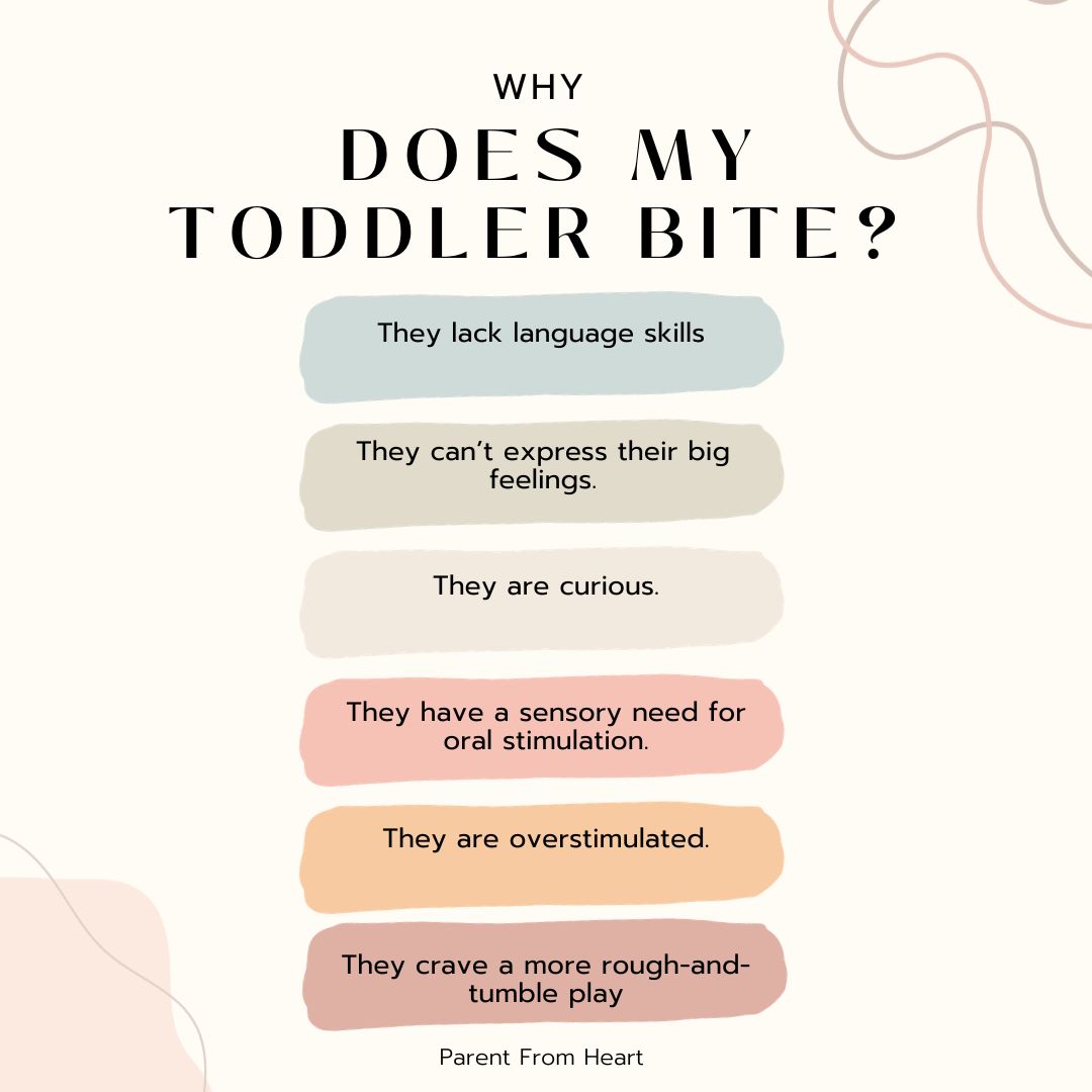 Why does my toddler bite infographic