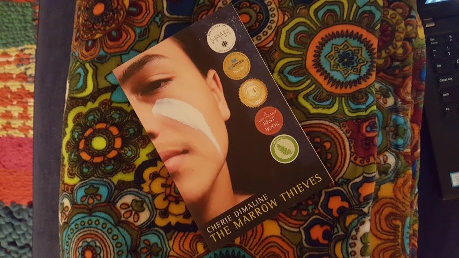 the marrow thieves book