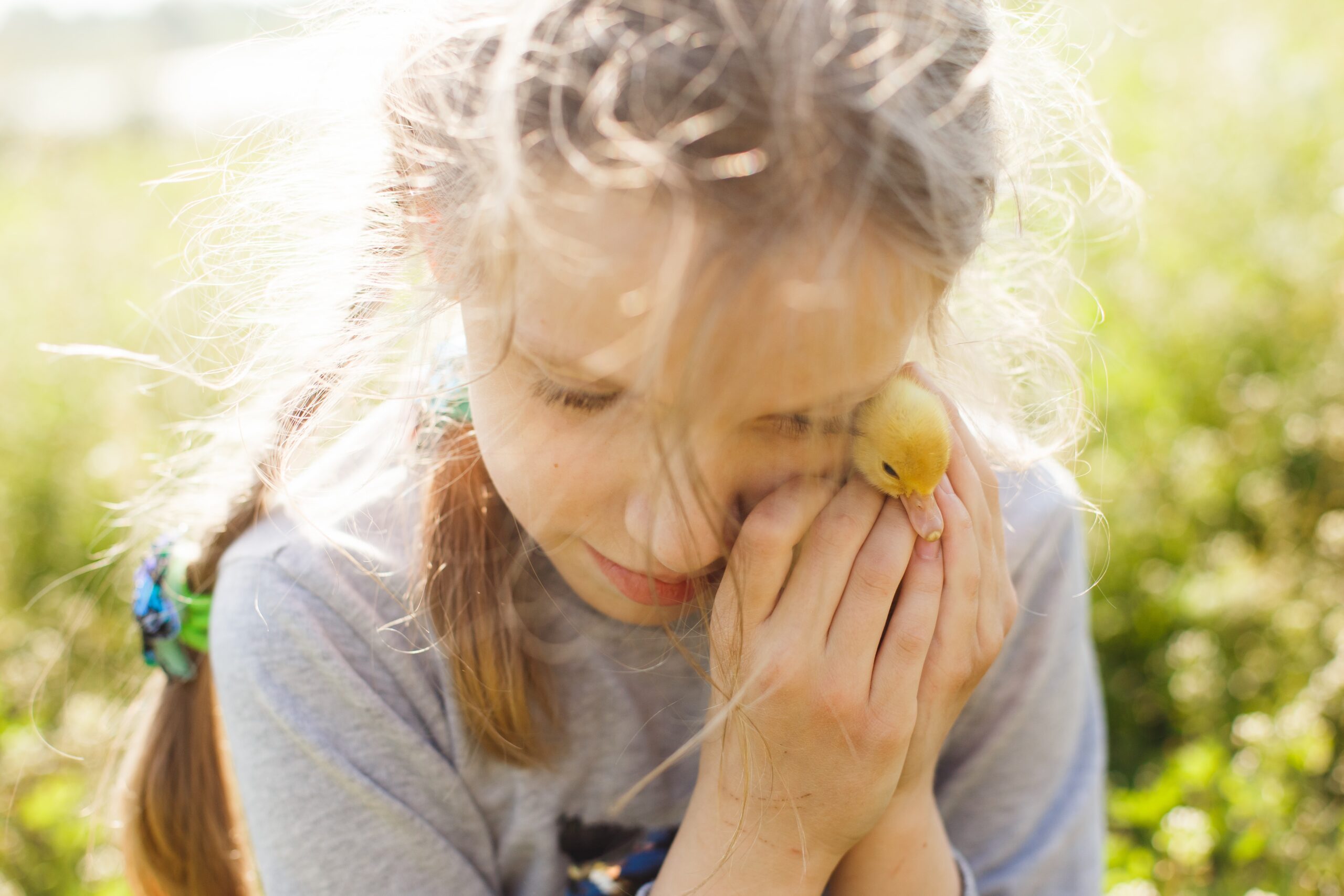 Child hugging a duck