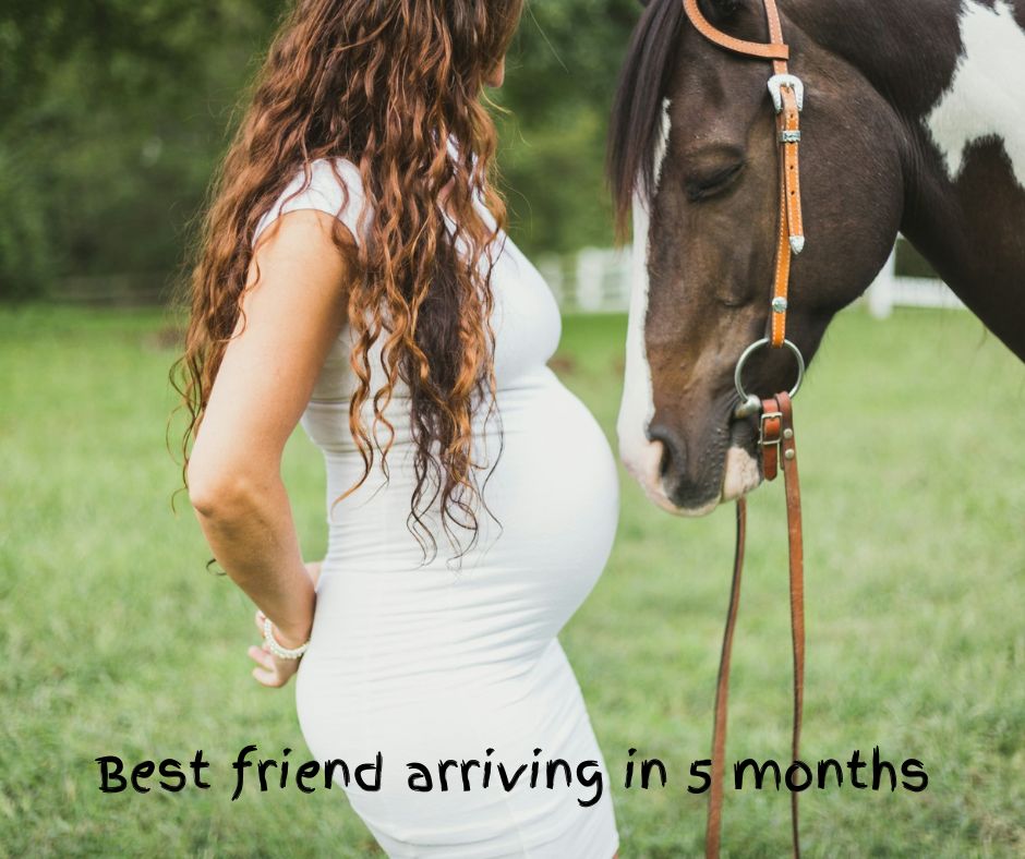 Pregnancy announcement captions using pets, a pregnant woman with a horse. 