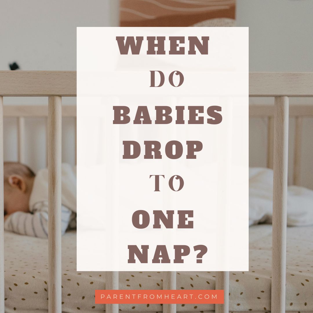 When do babies drop to one nap cover photo. 